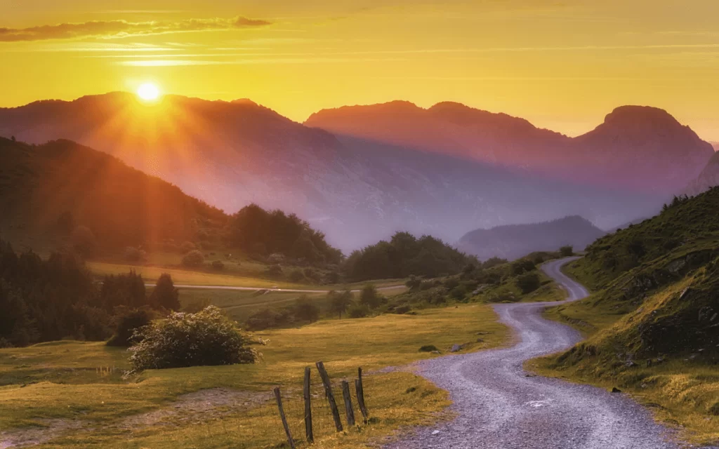 Trouver sa voie : le guide complet  -1